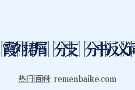 霞外捃屑·分支·分书反义词是什么意思的图片